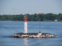 P6241702
